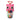 ESTUCHE MEDIANO BUHO PLUMONES R-12855 CB-3 T-2304 FANG YOU - PAQ 6D 3000059P